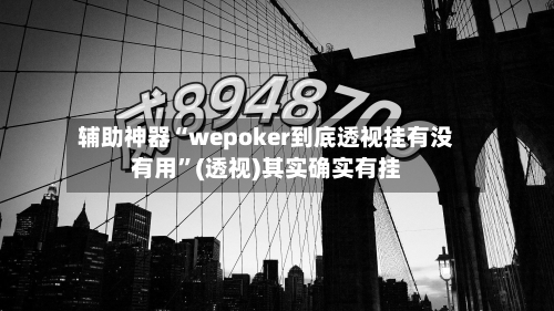 辅助神器“wepoker到底透视挂有没有用	”(透视)其实确实有挂-第2张图片