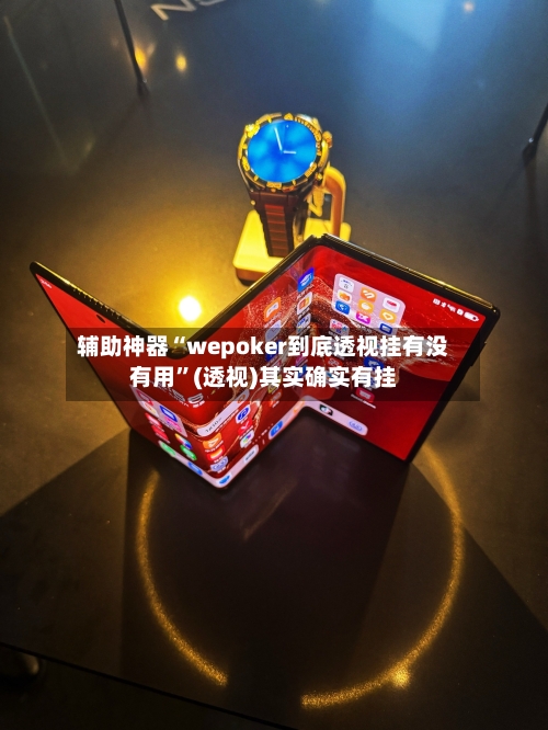 辅助神器“wepoker到底透视挂有没有用”(透视)其实确实有挂-第1张图片