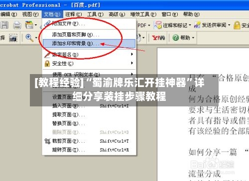 [教程经验]“蜀渝牌乐汇开挂神器	”详细分享装挂步骤教程-第1张图片
