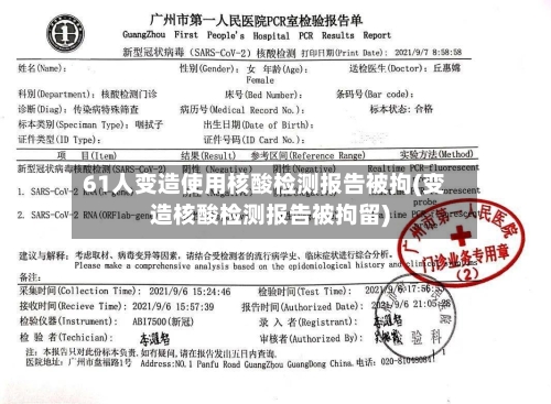 61人变造使用核酸检测报告被拘(变造核酸检测报告被拘留)-第2张图片