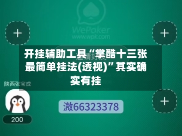 开挂辅助工具“掌酷十三张最简单挂法(透视)	”其实确实有挂-第1张图片