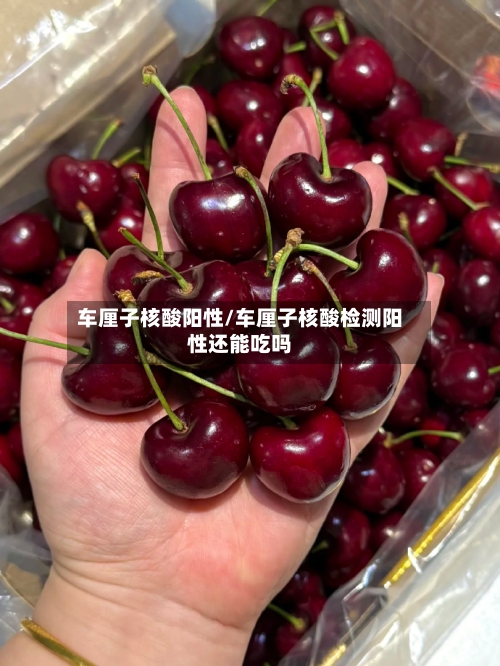 车厘子核酸阳性/车厘子核酸检测阳性还能吃吗-第3张图片