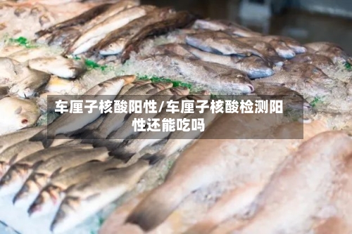车厘子核酸阳性/车厘子核酸检测阳性还能吃吗-第1张图片