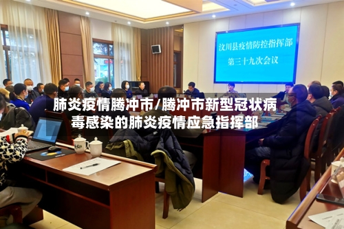 肺炎疫情腾冲市/腾冲市新型冠状病毒感染的肺炎疫情应急指挥部-第2张图片