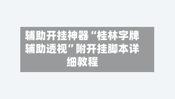 辅助开挂神器“桂林字牌辅助透视”附开挂脚本详细教程-第3张图片