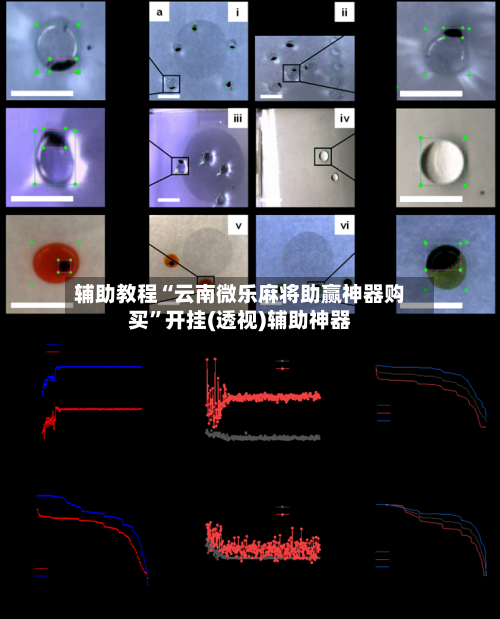 辅助教程“云南微乐麻将助赢神器购买	”开挂(透视)辅助神器-第2张图片