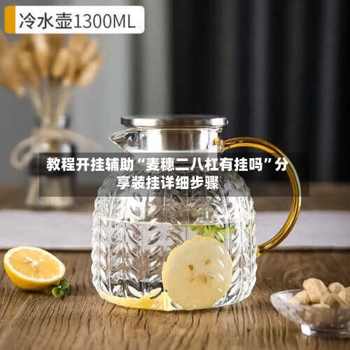 教程开挂辅助“麦穗二八杠有挂吗”分享装挂详细步骤-第2张图片