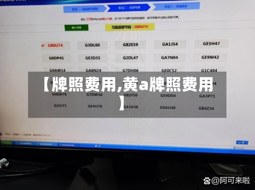【牌照费用,黄a牌照费用】-第1张图片