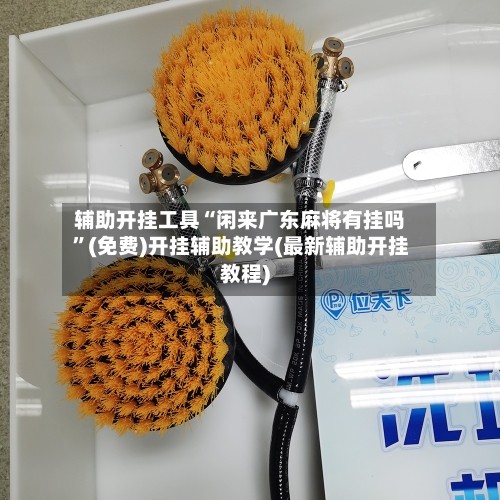 辅助开挂工具“闲来广东麻将有挂吗”(免费)开挂辅助教学(最新辅助开挂教程)-第1张图片