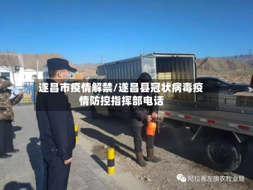 遂昌市疫情解禁/遂昌县冠状病毒疫情防控指挥部电话-第1张图片