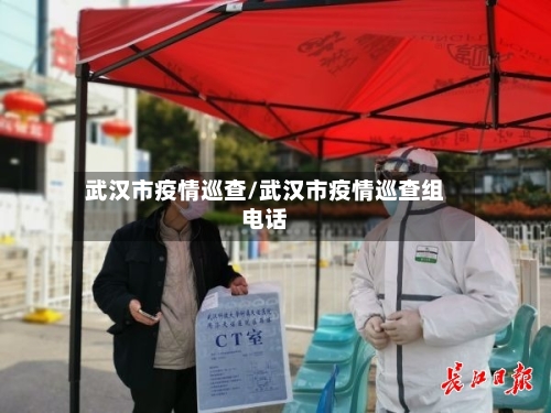 武汉市疫情巡查/武汉市疫情巡查组电话-第1张图片