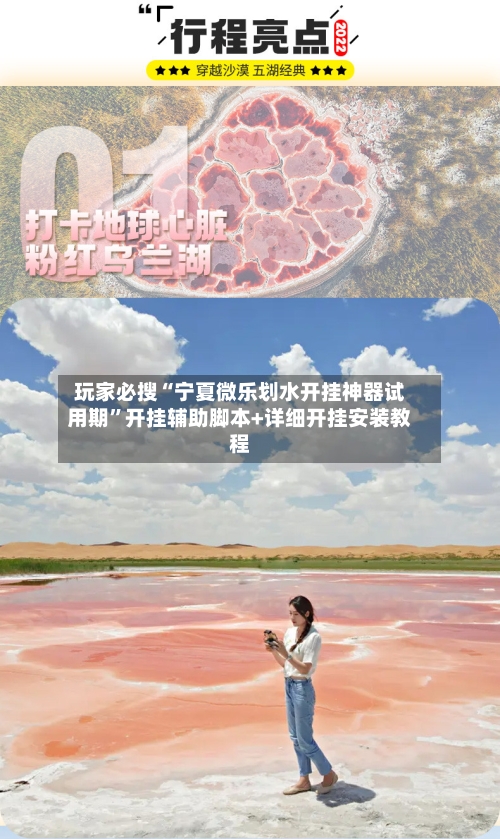 玩家必搜“宁夏微乐划水开挂神器试用期”开挂辅助脚本+详细开挂安装教程-第1张图片