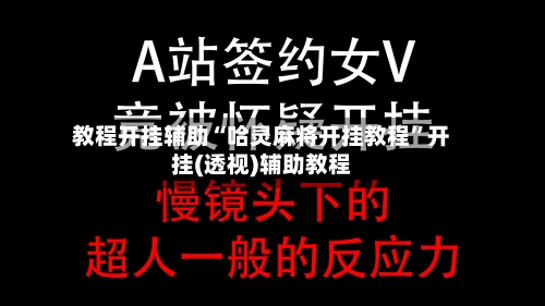 教程开挂辅助“哈灵麻将开挂教程”开挂(透视)辅助教程-第3张图片