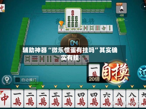辅助神器“微乐惯蛋有挂吗	”其实确实有挂-第2张图片