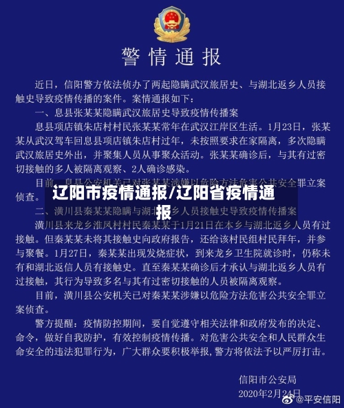 辽阳市疫情通报/辽阳省疫情通报-第2张图片