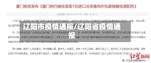 辽阳市疫情通报/辽阳省疫情通报-第3张图片