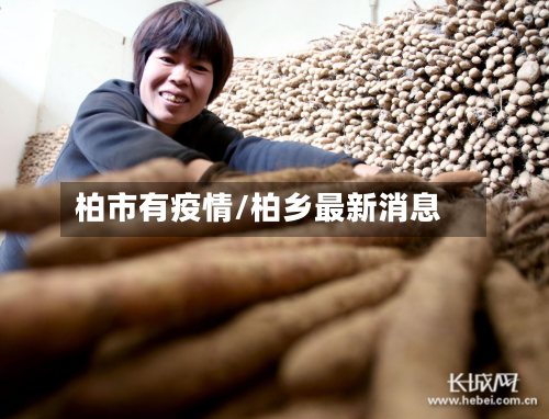 柏市有疫情/柏乡最新消息-第1张图片