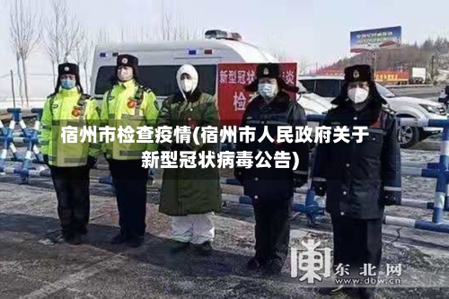 宿州市检查疫情(宿州市人民政府关于新型冠状病毒公告)-第3张图片