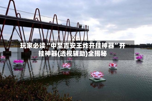 玩家必读“中至吉安王炸开挂神器”开挂神器{透视辅助}全揭秘-第2张图片