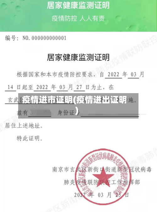 疫情进市证明(疫情进出证明)-第1张图片