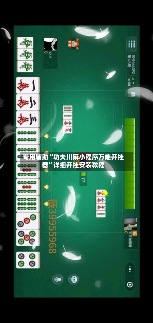 专用辅助“功夫川麻小程序万能开挂器”详细开挂安装教程-第2张图片