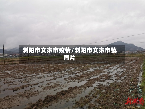 浏阳市文家市疫情/浏阳市文家市镇图片-第2张图片