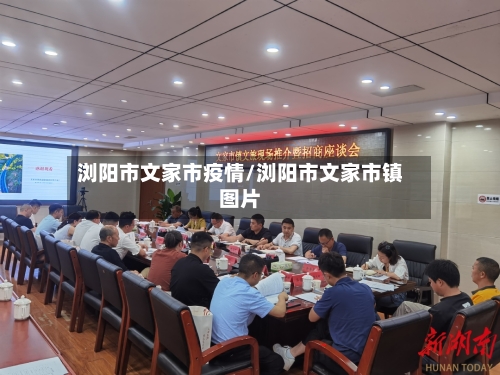 浏阳市文家市疫情/浏阳市文家市镇图片-第1张图片