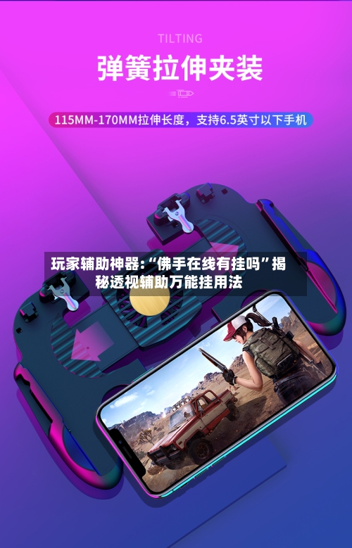 玩家辅助神器:“佛手在线有挂吗”揭秘透视辅助万能挂用法-第2张图片