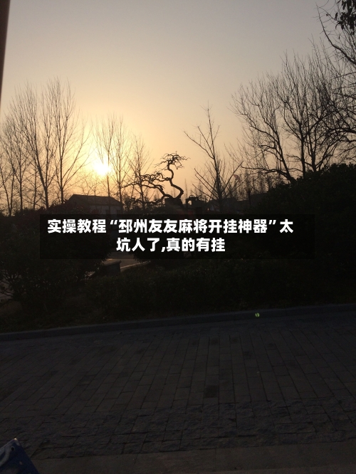 实操教程“邳州友友麻将开挂神器”太坑人了,真的有挂-第1张图片