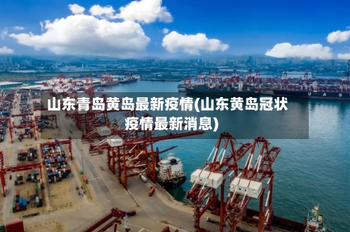 山东青岛黄岛最新疫情(山东黄岛冠状疫情最新消息)-第2张图片