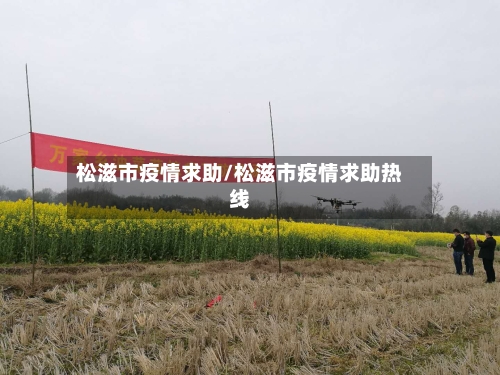 松滋市疫情求助/松滋市疫情求助热线-第1张图片