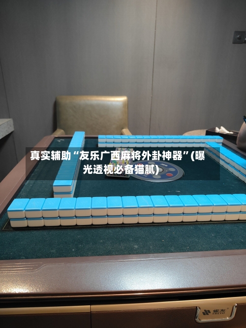 真实辅助“友乐广西麻将外卦神器”(曝光透视必备猫腻)-第1张图片