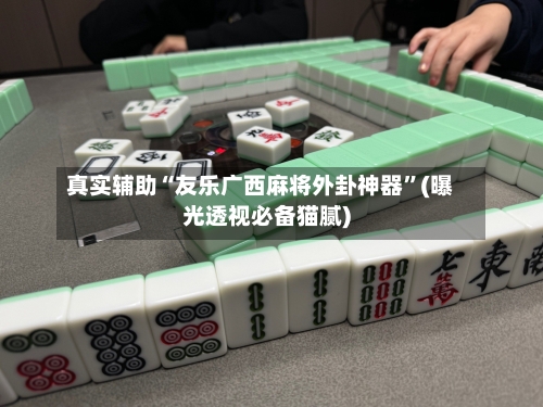 真实辅助“友乐广西麻将外卦神器	”(曝光透视必备猫腻)-第2张图片