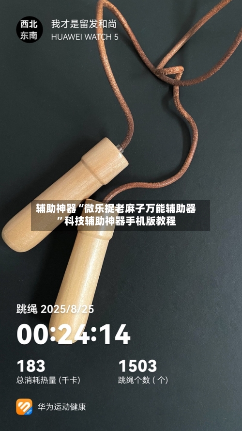 辅助神器“微乐捉老麻子万能辅助器”科技辅助神器手机版教程-第1张图片