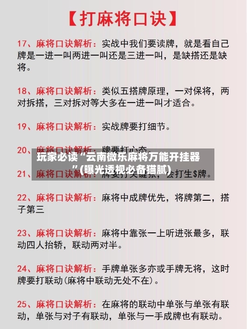 玩家必读“云南微乐麻将万能开挂器”(曝光透视必备猫腻)-第2张图片