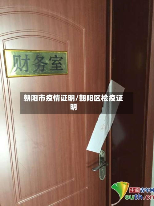 朝阳市疫情证明/朝阳区检疫证明-第1张图片