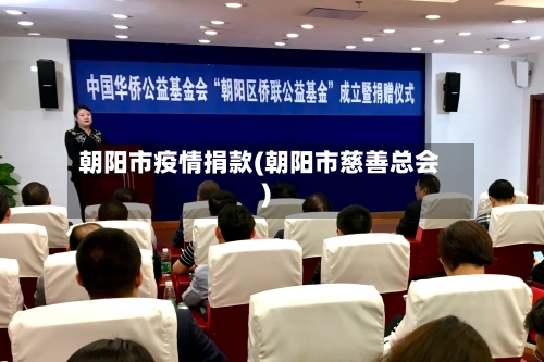 朝阳市疫情捐款(朝阳市慈善总会)-第3张图片