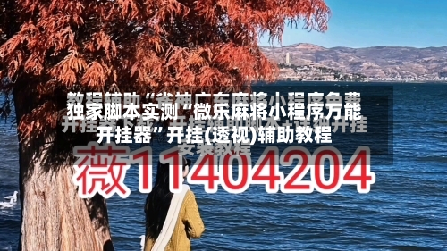 独家脚本实测“微乐麻将小程序万能开挂器”开挂(透视)辅助教程-第2张图片
