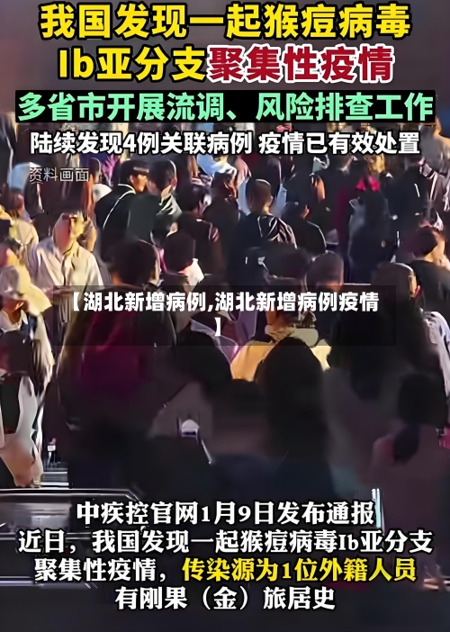 【湖北新增病例,湖北新增病例疫情】-第1张图片
