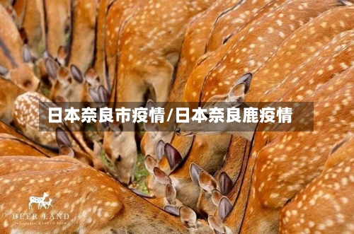 日本奈良市疫情/日本奈良鹿疫情-第3张图片