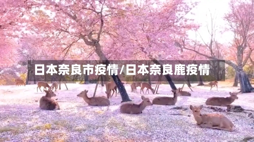 日本奈良市疫情/日本奈良鹿疫情-第2张图片
