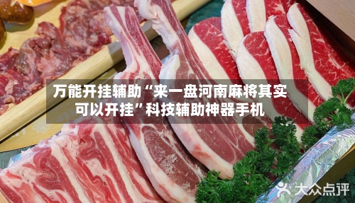 万能开挂辅助“来一盘河南麻将其实可以开挂”科技辅助神器手机-第1张图片
