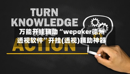 万能开挂辅助“wepoker德州透视软件”开挂(透视)辅助神器-第3张图片