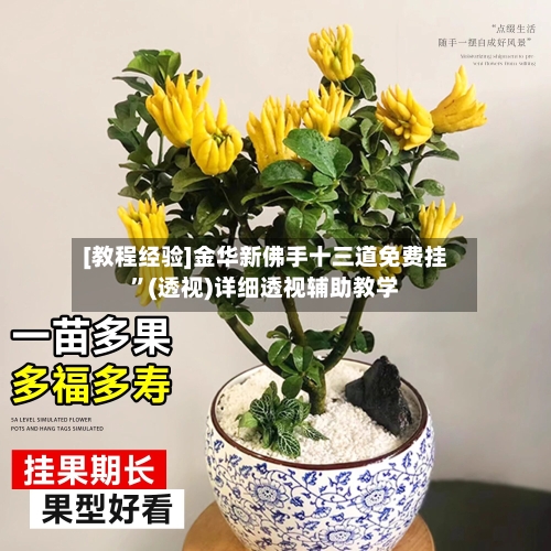 [教程经验]金华新佛手十三道免费挂	”(透视)详细透视辅助教学-第1张图片