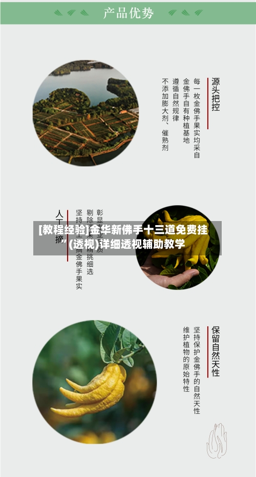 [教程经验]金华新佛手十三道免费挂”(透视)详细透视辅助教学-第3张图片