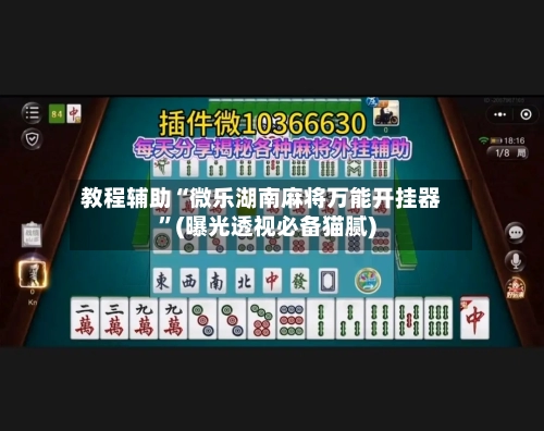 教程辅助“微乐湖南麻将万能开挂器”(曝光透视必备猫腻)-第2张图片