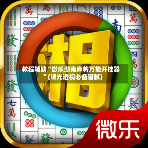教程辅助“微乐湖南麻将万能开挂器	”(曝光透视必备猫腻)-第1张图片