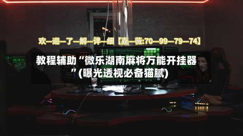 教程辅助“微乐湖南麻将万能开挂器”(曝光透视必备猫腻)-第3张图片