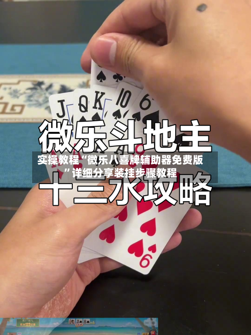 实操教程“微乐八喜牌辅助器免费版	”详细分享装挂步骤教程-第1张图片