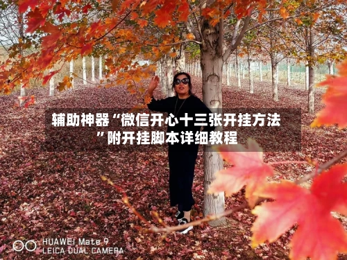 辅助神器“微信开心十三张开挂方法	”附开挂脚本详细教程-第2张图片